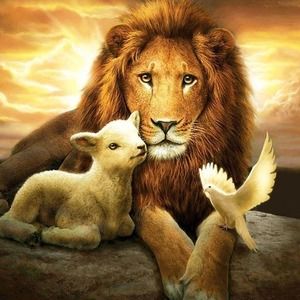 Meet your Posher, Tres